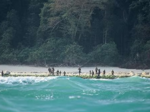 米哈伊洛·波利亚科夫，因与古哨兵部落联系而在印度被捕
